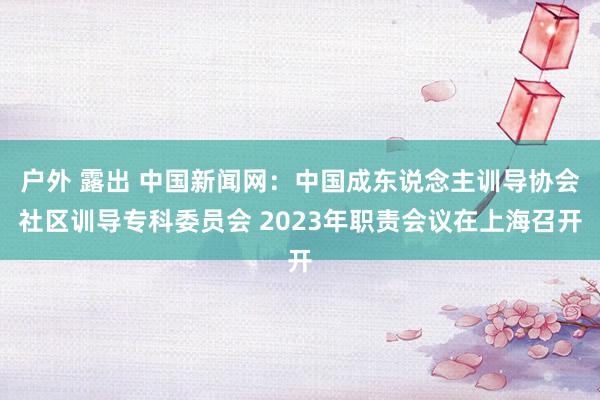 户外 露出 中国新闻网：中国成东说念主训导协会社区训导专科委员会 2023年职责会议在上海召开