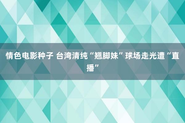 情色电影种子 台湾清纯“翘脚妹”球场走光遭“直播”