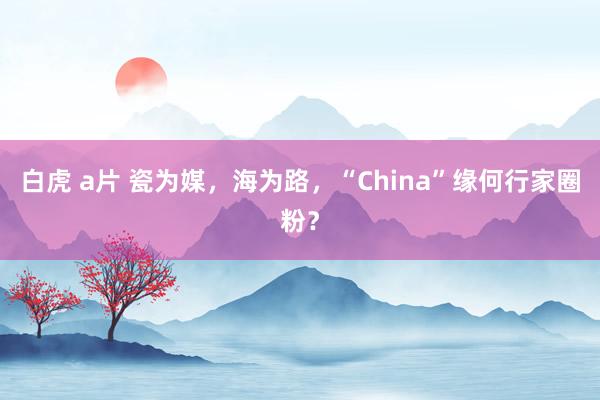 白虎 a片 瓷为媒，海为路，“China”缘何行家圈粉？